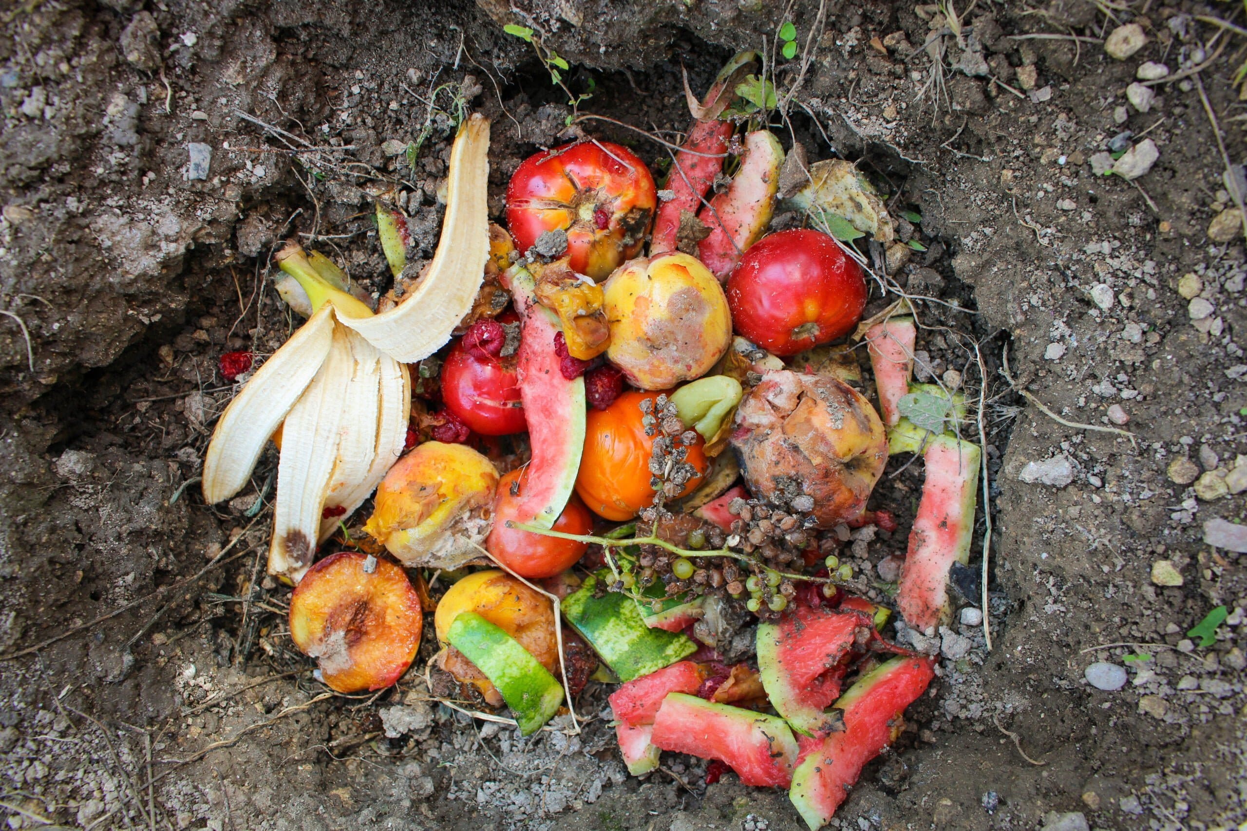 Compost Pile of Fruits and Vegetables