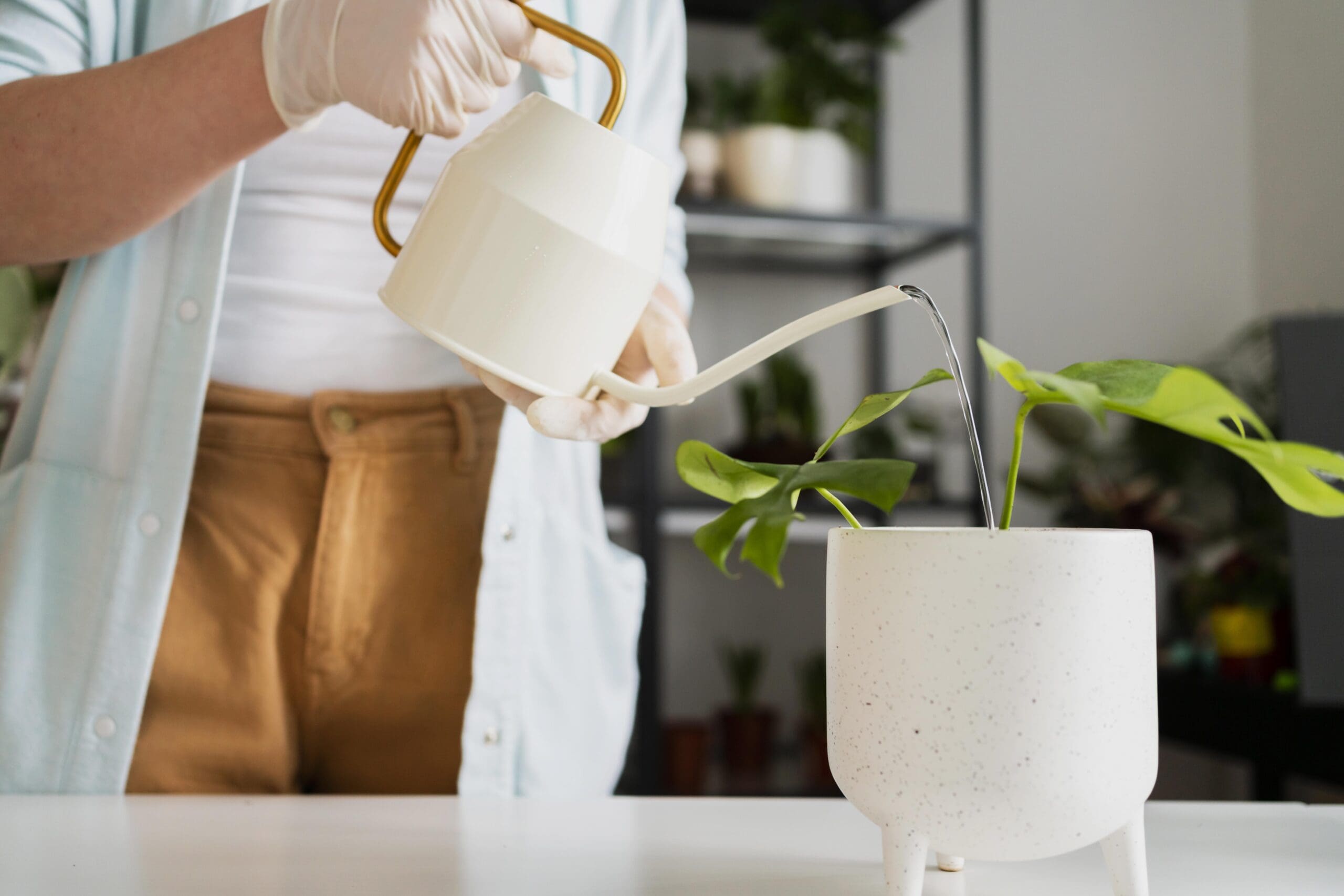 Woman watering a plant with a watering can