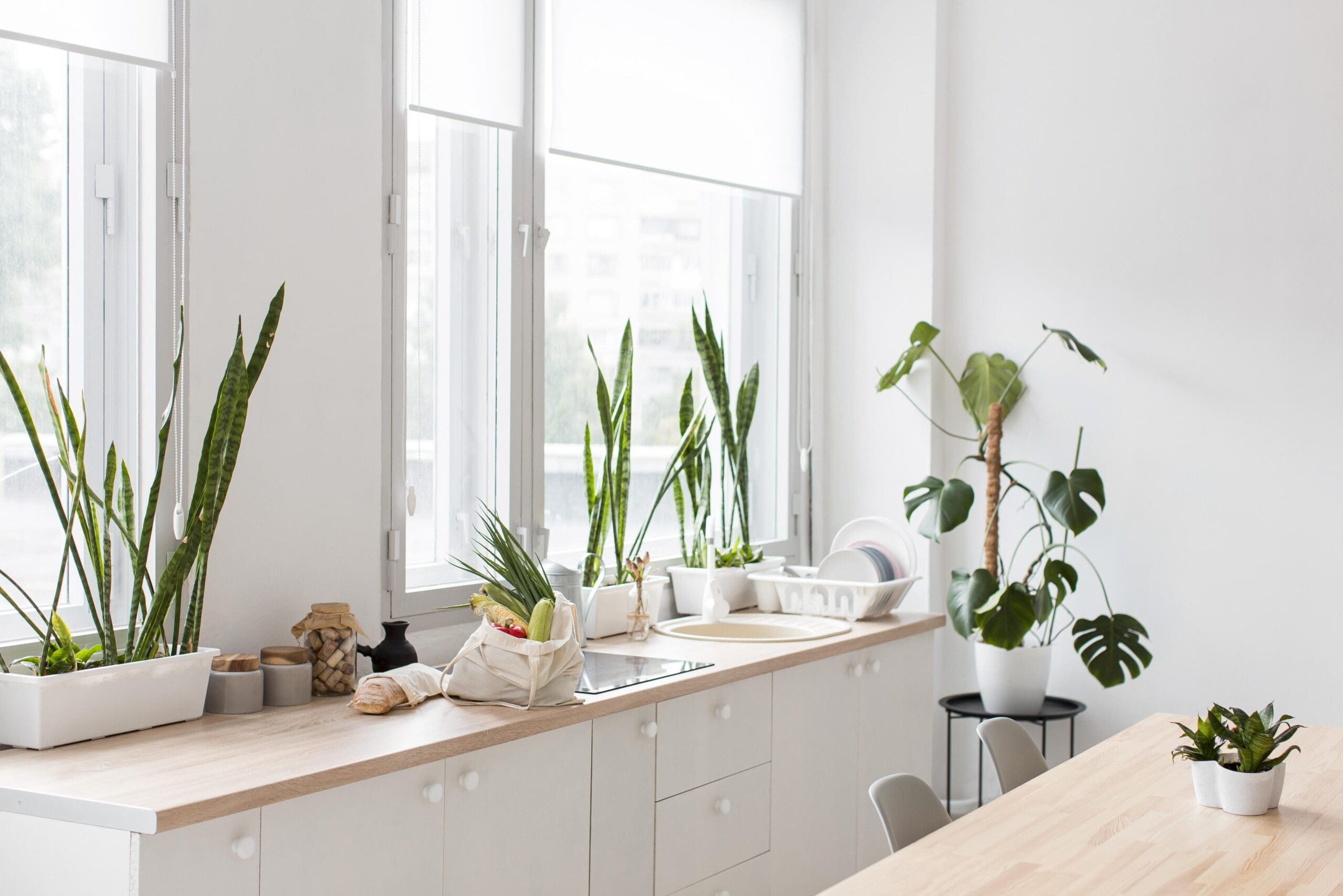 modern kitchen with plants as decor
