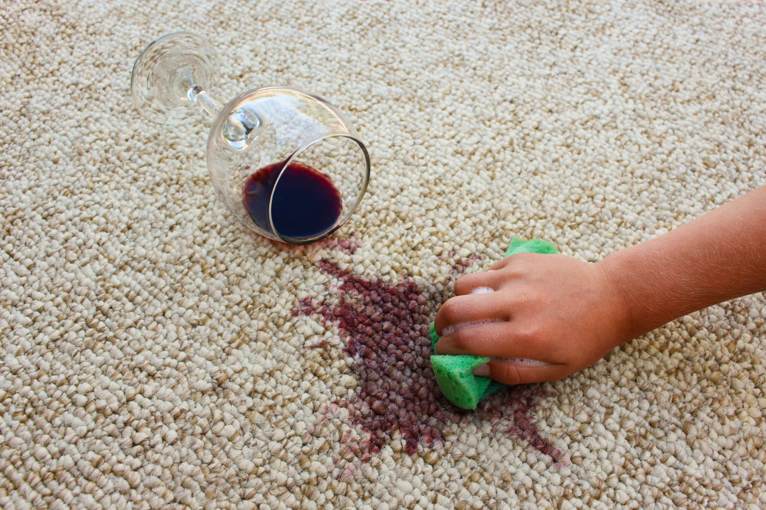 glass-red-wine-fell-carpet-wine-spilled-carpet-female-hand-cleans-carpet-with-sponge-detergent glass-red-wine-fell-carpet-wine-spilled-carpet-female-hand-cleans-carpet-with-sponge-detergent