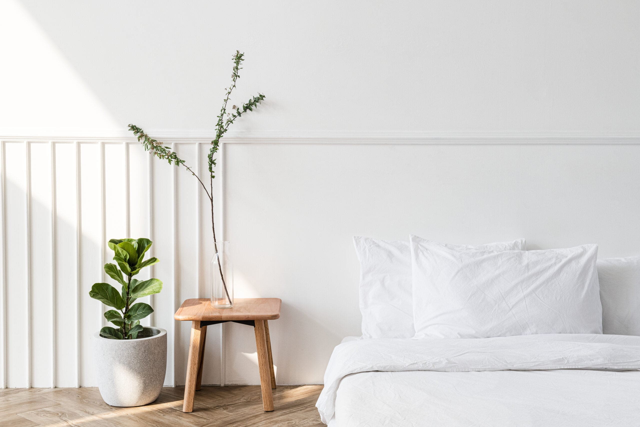 House plants by a mattress on the floor house-plants-by-mattress-floor