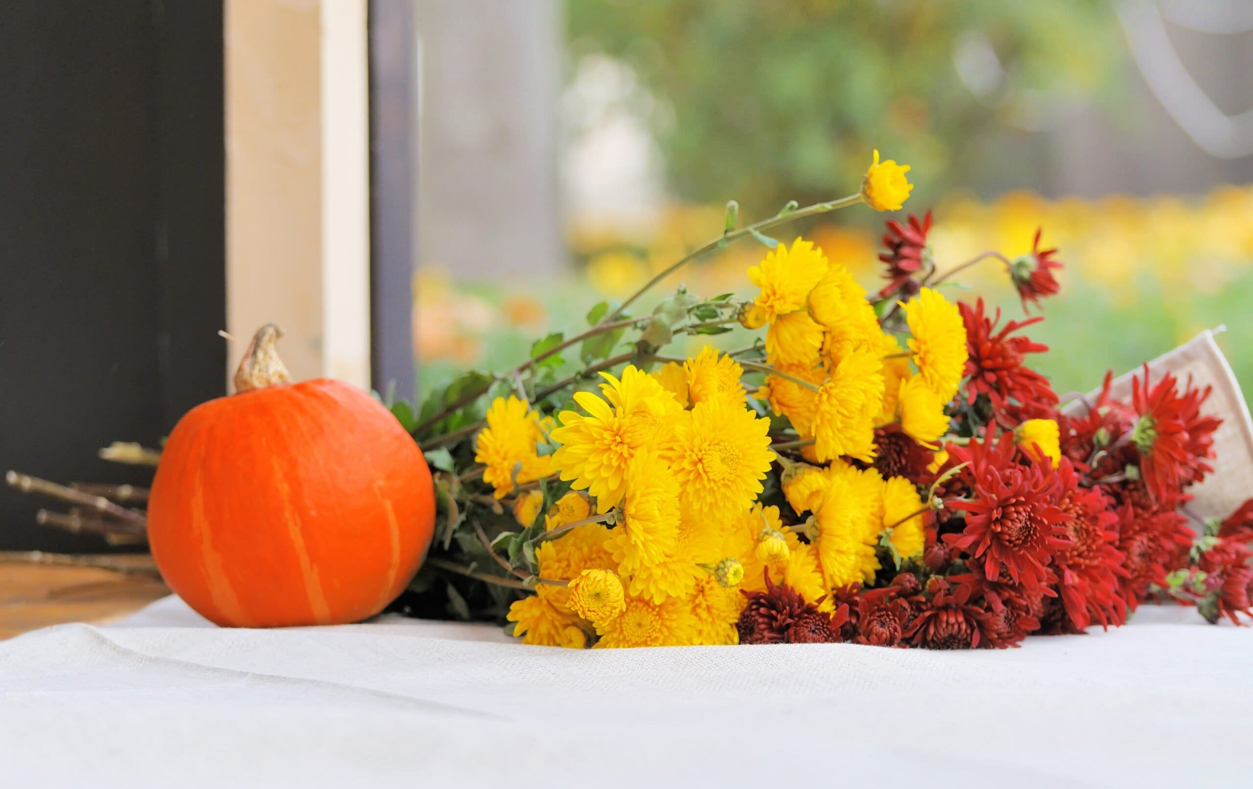 chrysanthemum-flowers-pumpkins.