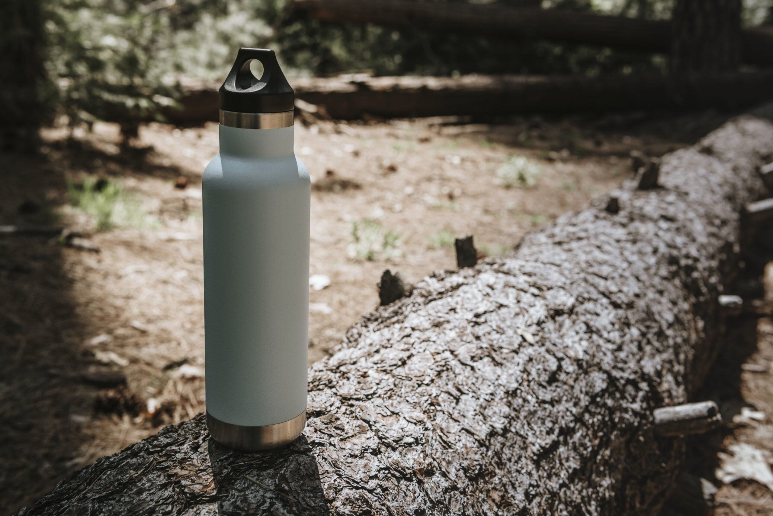 reusable-water-bottle-trunk-forest