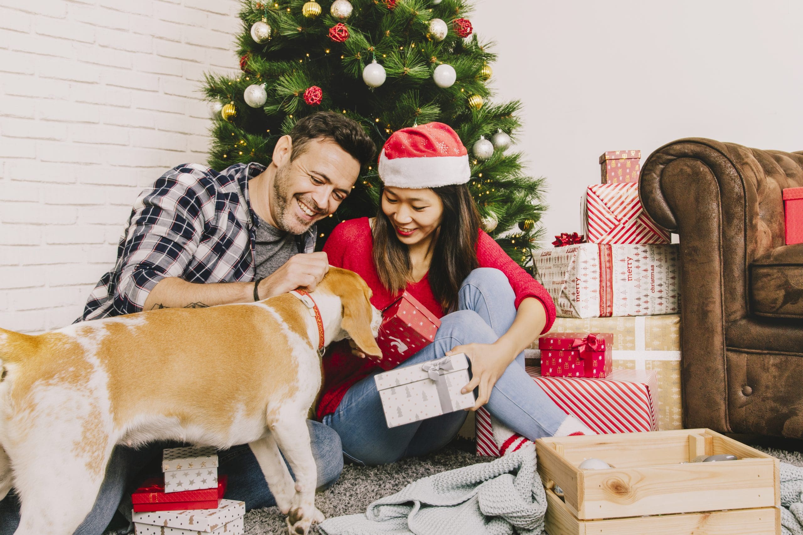couple celebrating the holidays with dog giving them best holidays gifts for dogs