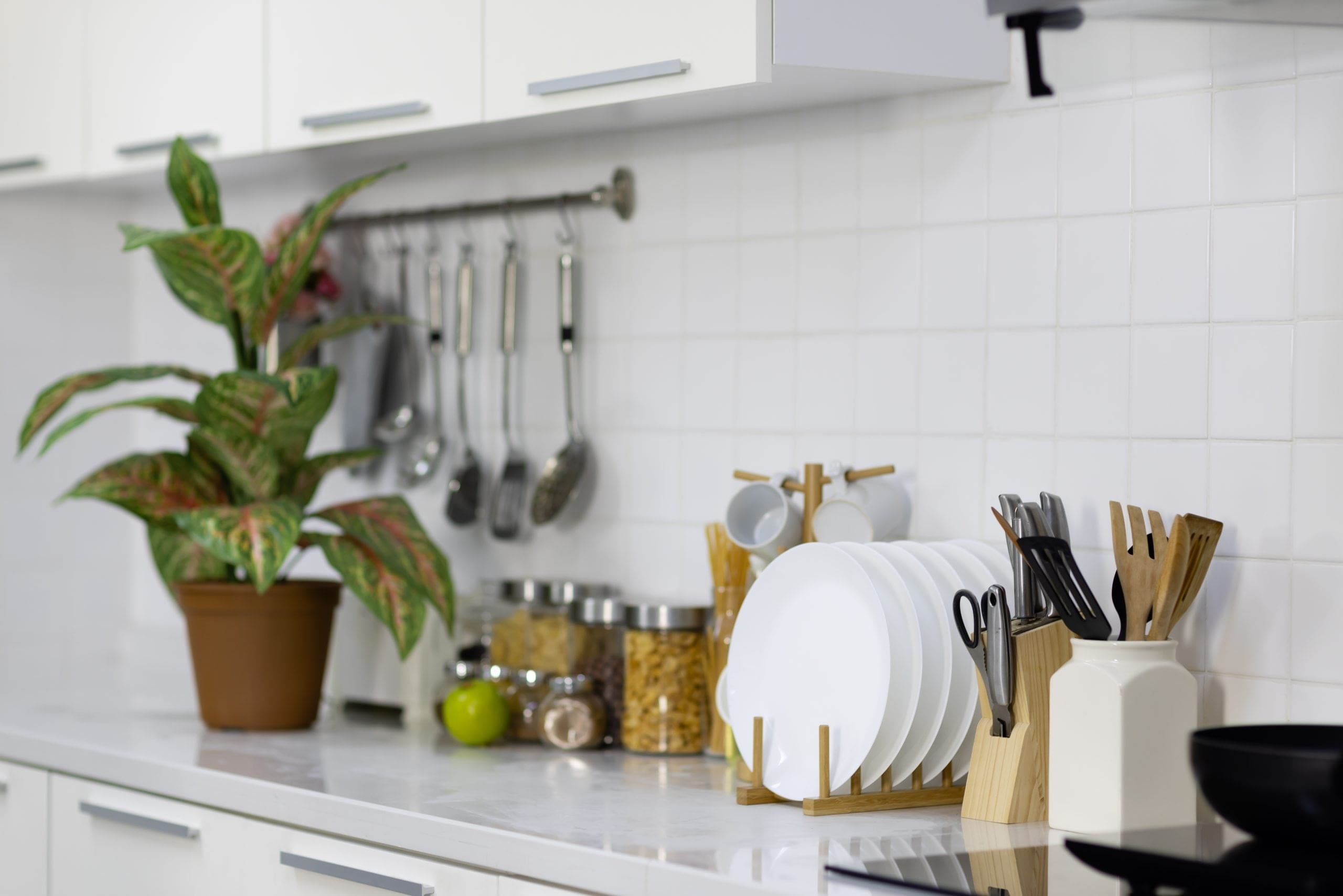 modern kitchen counter with must have kitchen items for your new home and decorative plant