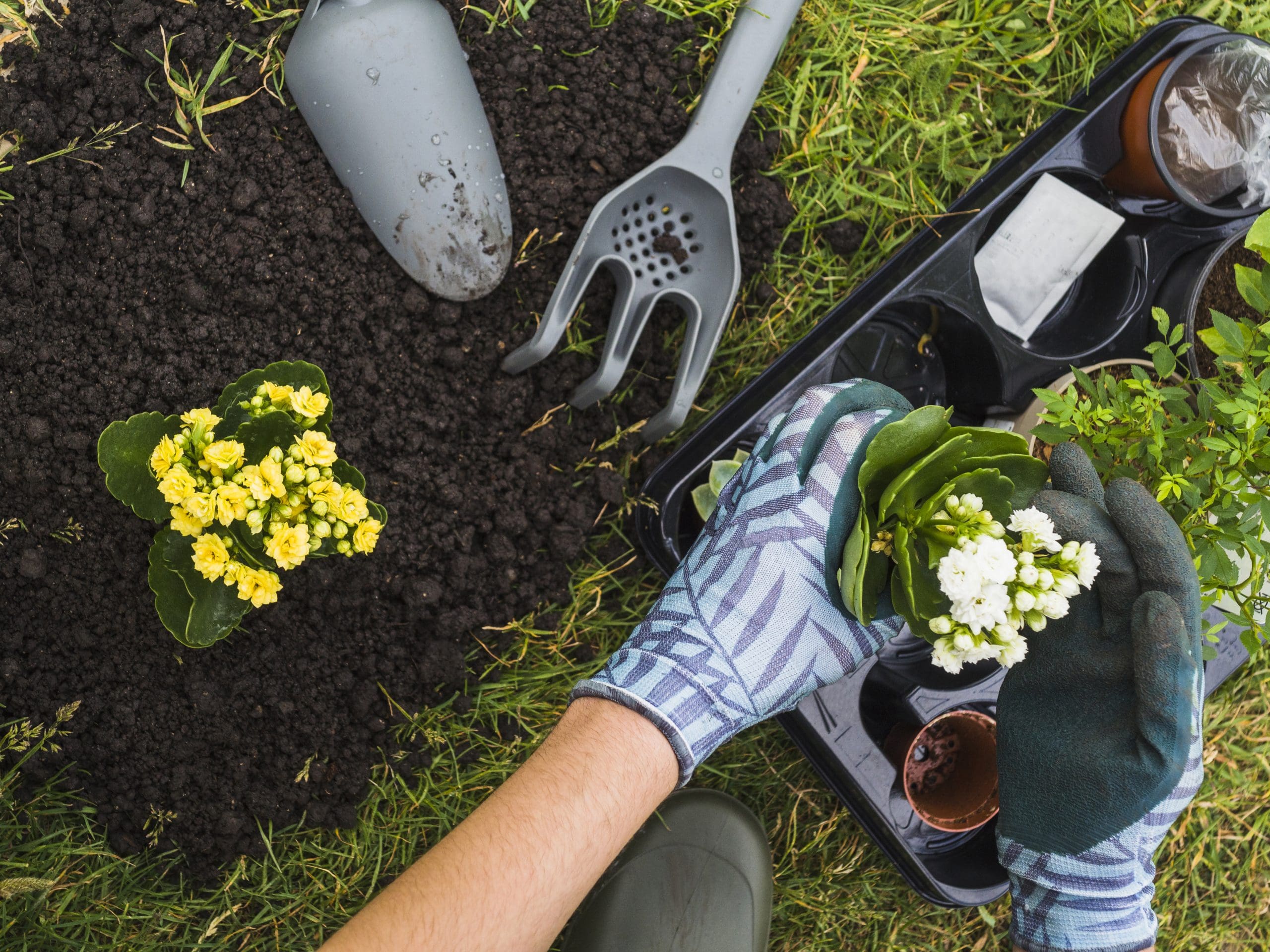 Overhead-view-of-person-tending-to-their-home-garden