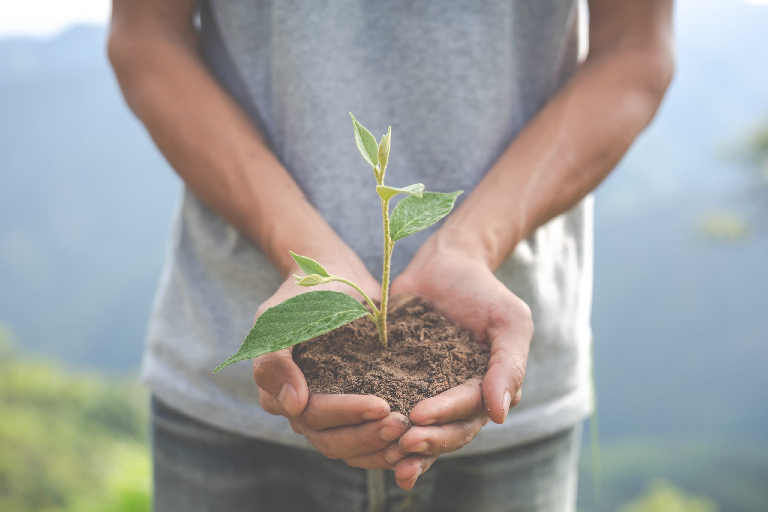 Persons-hands-holding-plant-in-dirt-at-earth-day-events-near-saratoga-county