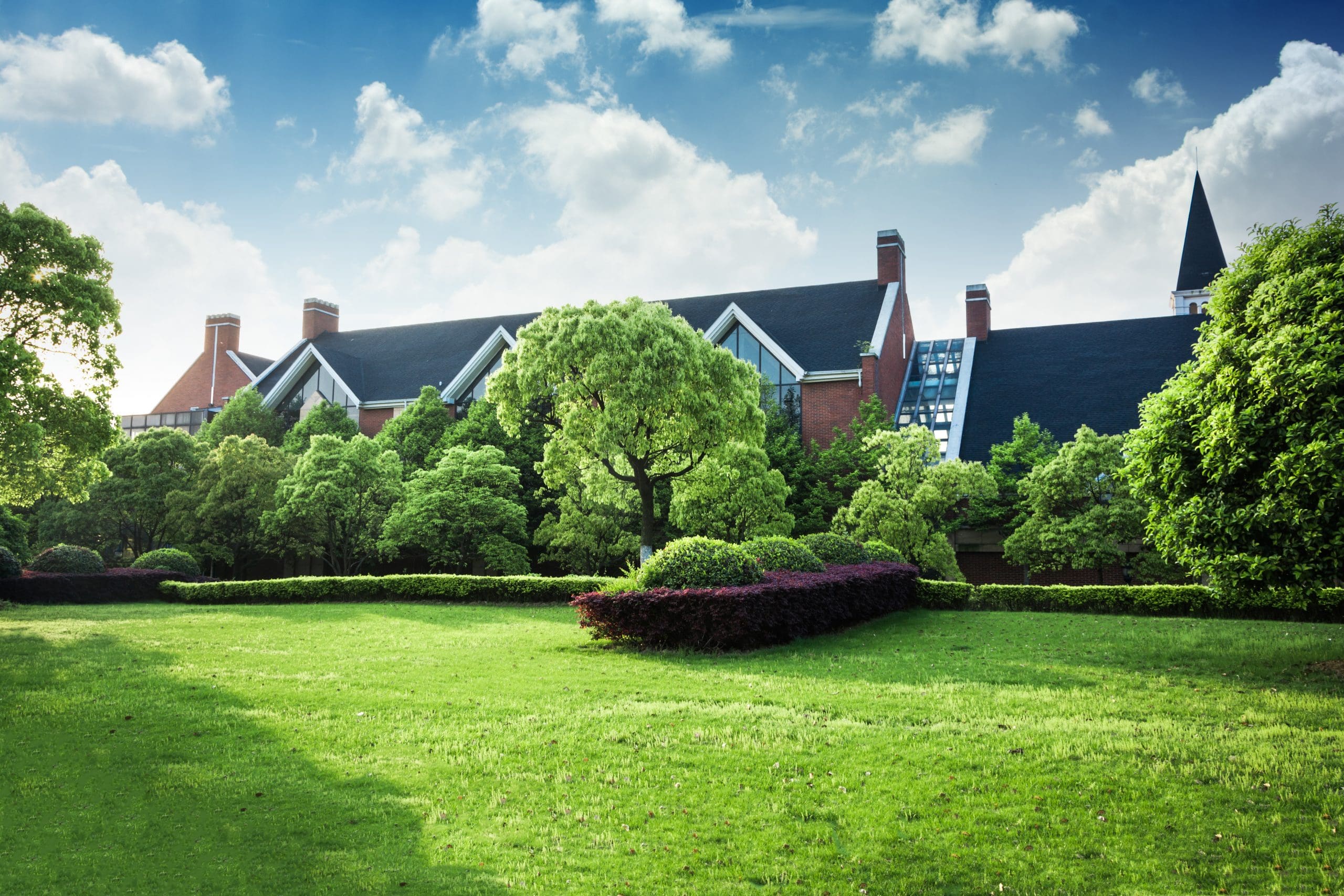 backyard spring cleaning to make beautiful landscape