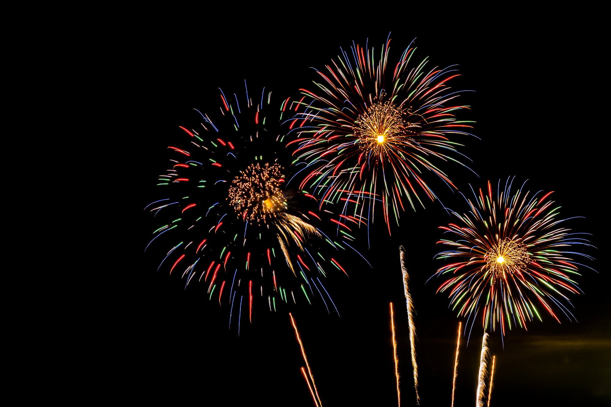 display of fireworks safety tips for pets