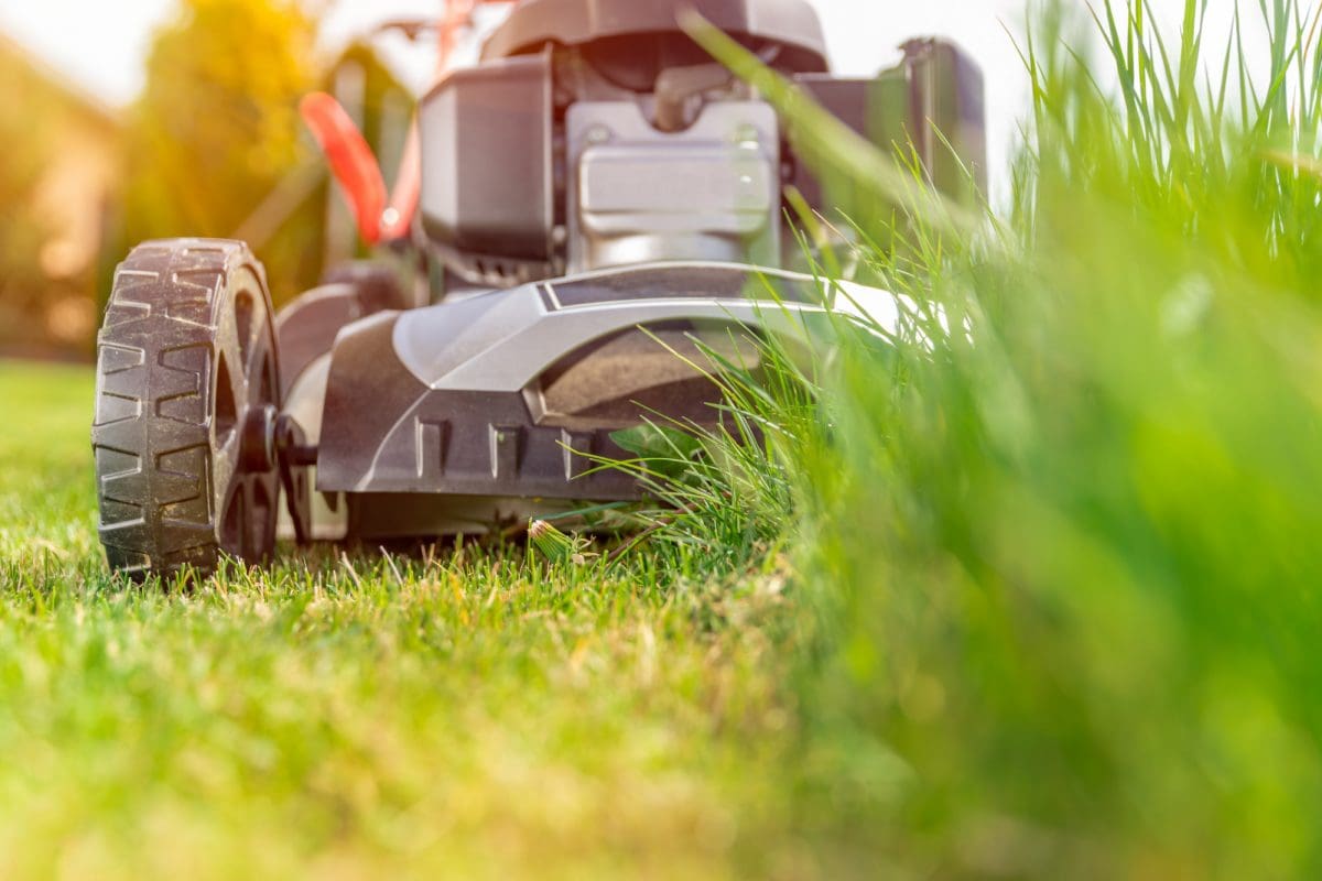Best Lawn Care Tips For New Homeowners | Easy Lawn Maintenance Guide