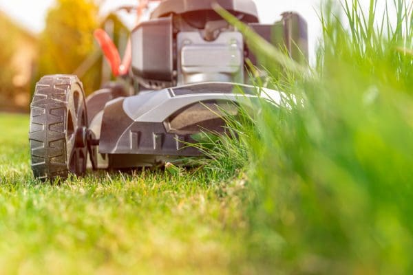 Must Have Lawn Tools for New Homeowners