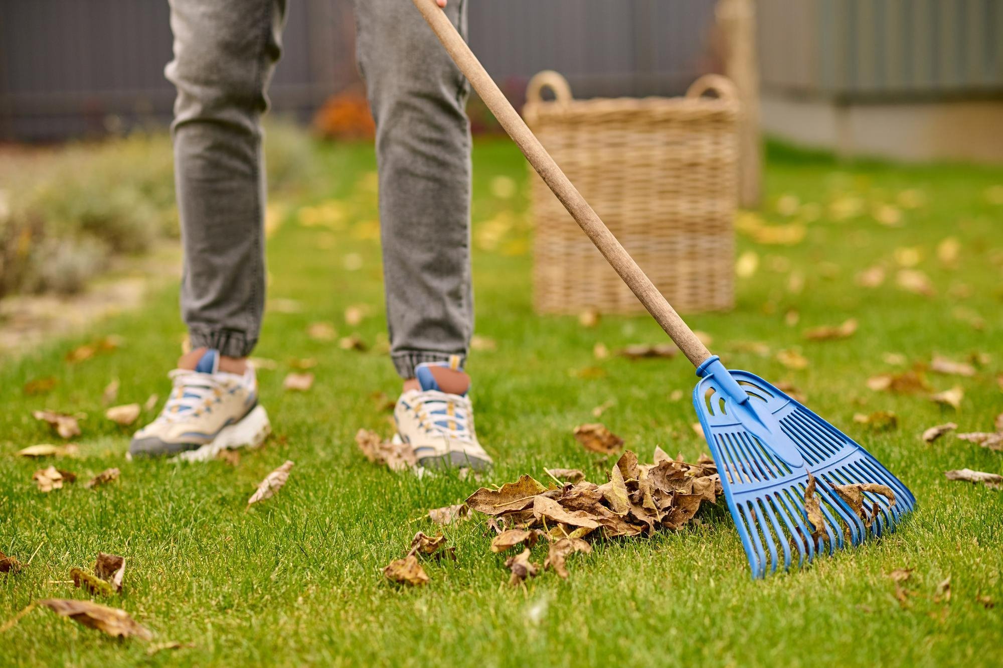 man-raking-autumn-leaves-as-part-of-fall-landscaping-checklist-for-your-home