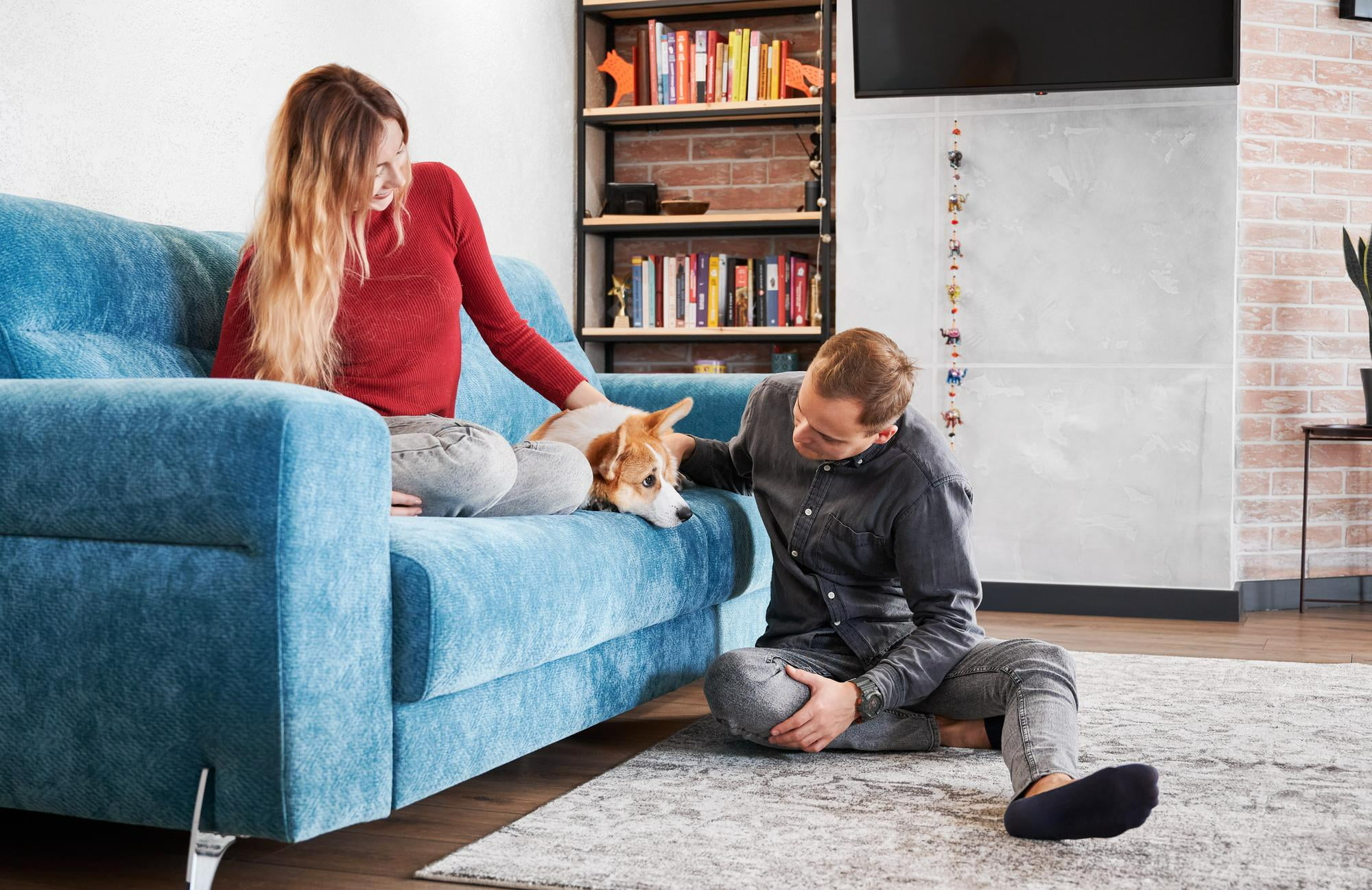 young-couple-comforting-dog-after-bringing-a-new-puppy-into-your-home