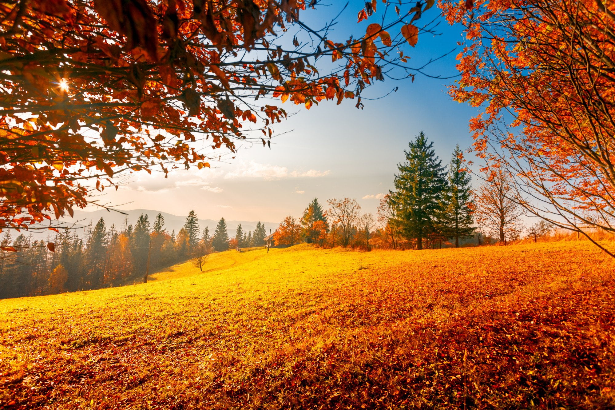 fall foliage view of changing colors